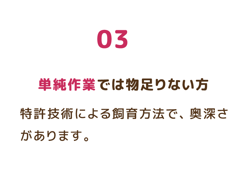 03 単純作業では物足りない方 特許技術による飼育方法で、奥深さがあります。